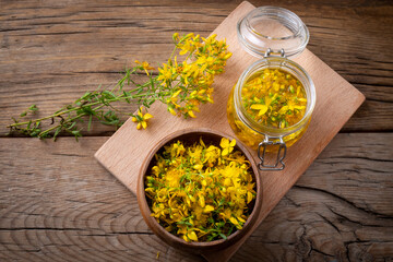 Preparation of St. John's wort oil from fresh blooming Hypericum perforatum plant (Turkish name; sari kantaron yagi)