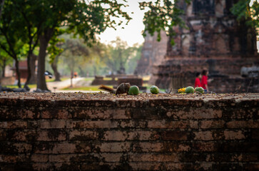 タイのアユタヤ
