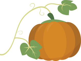 cartoon vector illustration pumpkin with leaves isolated on white background