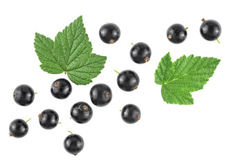 Black currant berries with green leaves isolated on a white background, top view.