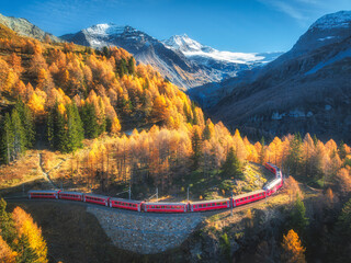 Bernina express train is moving along the swiss alps on sunny autumn day. Aerial view of red train, orange forest, snowy mountains at sunset in fall. Top drone view of train,  mountain pass. Railway
