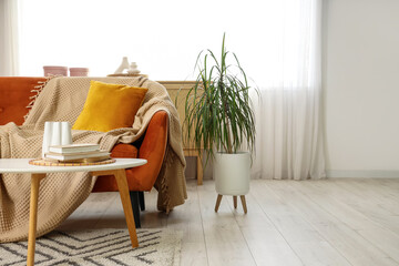 Interior of living room with red sofa, table and palm tree