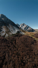 Aerial shot of golden-covered mount Komovi under the blue sky in Montenegro in the autumn season. Beautiful breathtaking mountain landscape from a bird's eye view.