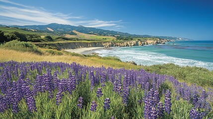 Obraz premium A field of purple wildflowers blooms in the foreground with a coastline and mountains in the distance.