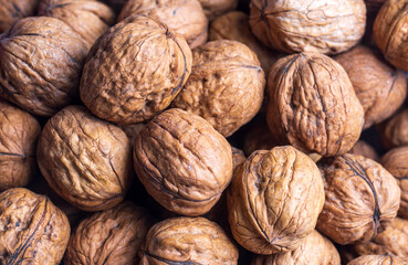 Walnuts with and without shells (filling the picture). Background of fresh walnuts.