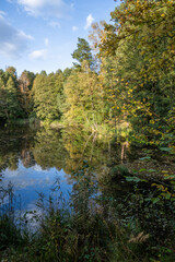 Zbiornik wodny w Puszczy Bydgoskiej w okolicach Solca Kujawskiego