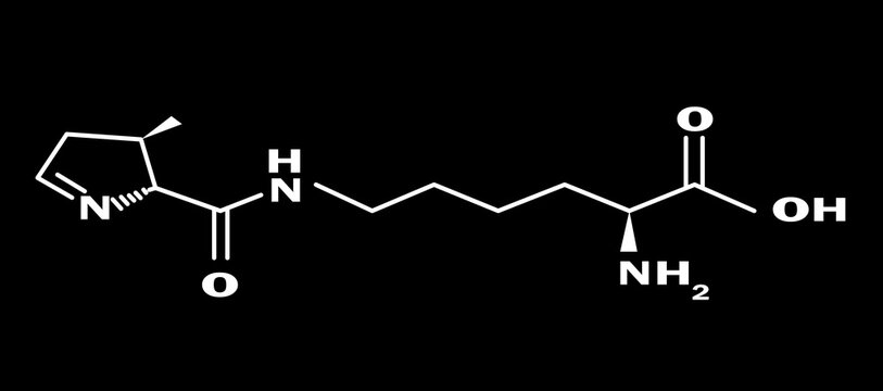 pyrrolysin glyph icon
