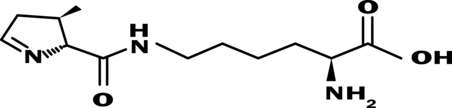 pyrrolysin icon