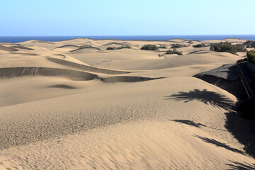 Maspalomas dunes in Gran Canaria, Spain, meeting the Atlantic Ocean with coastal town in background. Exotic landscape.