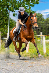 Woman riding brown horse at full gallop in training arena