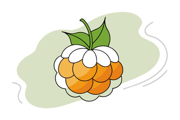 Line Color Drawing of Cloud berry Vector