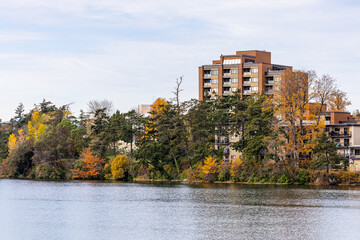Scenic Lakeside View of Autumn Trees and Apartment Buildings