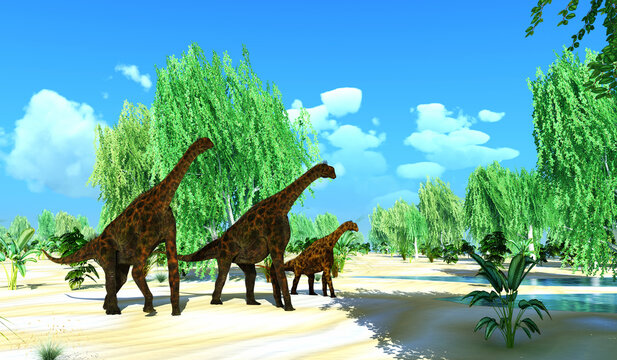Atlasaurus Dinosaurs Wetland - Atlasaurus was a large herbivorous dinosaur that lived in the Jurassic Period of Morocco, North Africa. Two Atlasaurus dinosaurs escort a juvenile to a pond.