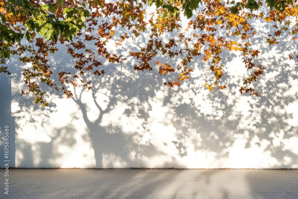 Poster this is a tranquil scene that beautifully features autumn leaves gently casting their shadows on a p
