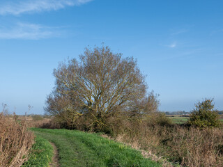 Rural footpath along the River Ant in the heart of the Norfolk Broads National Park. Captured on a bright and sunny day