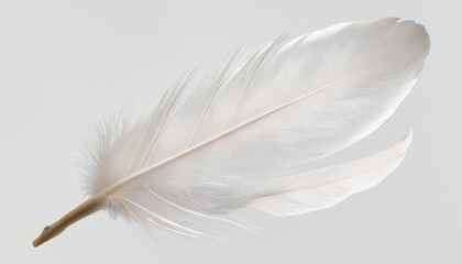 Obraz premium Elegant White Feather on Transparent Background
