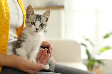 Woman with cute kitten at home, closeup. Space for text