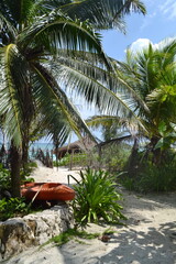Fototapeta premium Palm tree and canoe, boat on the seashore, ocean on a sandy beach