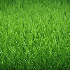 Obraz premium fresh green grass texture background illustration
