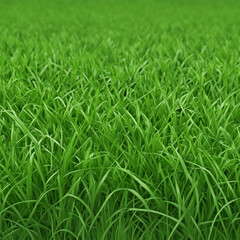 Fototapeta premium fresh green grass texture background illustration