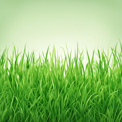 Fototapeta premium fresh green grass texture background illustration
