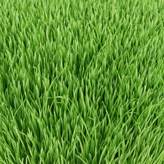 Obraz premium fresh green grass texture background illustration