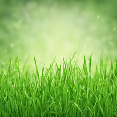 Obraz premium fresh green grass texture background illustration