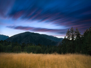 Evening fall meadow