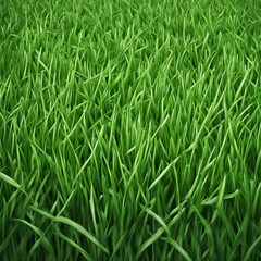 Obraz premium fresh green grass texture background illustration