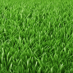 fresh green grass texture background illustration