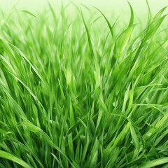 Naklejka premium fresh green grass texture background illustration