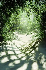 Fototapeta premium Sunlight Filtering Through Lush Green Foliage, Casting Shadows on a White Surface