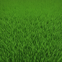 Obraz premium fresh green grass texture background illustration