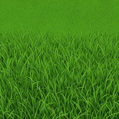 Obraz premium fresh green grass texture background illustration