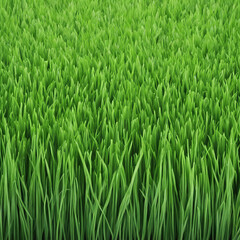 Obraz premium fresh green grass texture background illustration