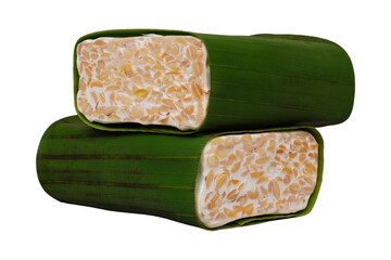Two blocks of banana-leaf-wrapped raw tempeh isolated transparent
