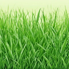 Obraz premium fresh green grass texture background illustration