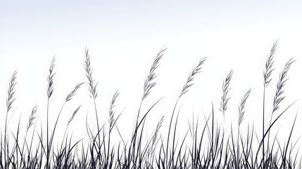 Black and White Silhouette of Tall Graceful Grass Blades Swaying in the Gentle Breeze Against a Soft, Light Blue Sky Creating a Serene Natural Landscape Vibe