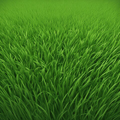 Obraz premium fresh green grass texture background illustration