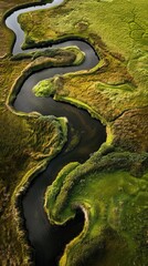 Naklejka premium Aerial Tranquility: Vast Peat Meadow Nature Reserve with Meandering Ditches