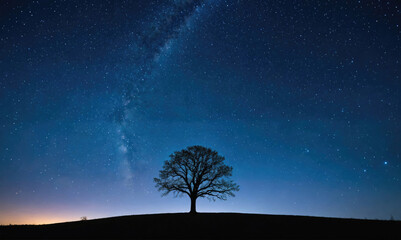 A lone tree stands tall against a starry night sky, with the Milky Way shining brightly overhead