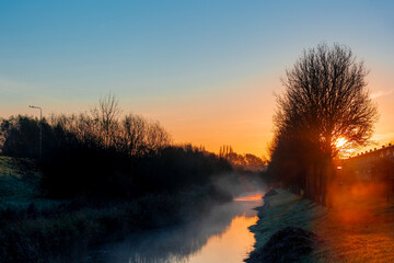 Silhouette of tree in Autumn with morning sunlight, Orange yellow sunrise with mist or fog above...