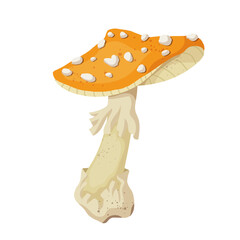 Colorful yellow fly agaric, forest mushroom toadstool. Vector graphics.