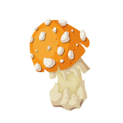 Colorful yellow fly agaric, forest mushroom toadstool. Vector graphics.
