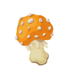 Colorful yellow fly agaric, forest mushroom toadstool. Vector graphics.