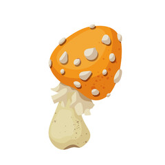 Colorful yellow fly agaric, forest mushroom toadstool. Vector graphics.