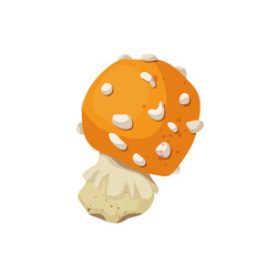Colorful yellow fly agaric, forest mushroom toadstool. Vector graphics.