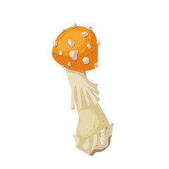 Colorful yellow fly agaric, forest mushroom toadstool. Vector graphics.