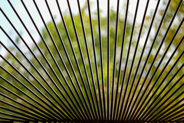 Rusty iron bars, sun and freedom behind them