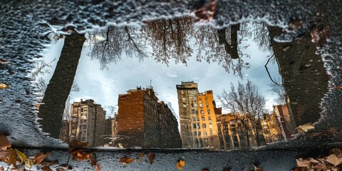 A reflection shot taken from a puddle after the rain, showing an upside-down view of the surrounding buildings and trees